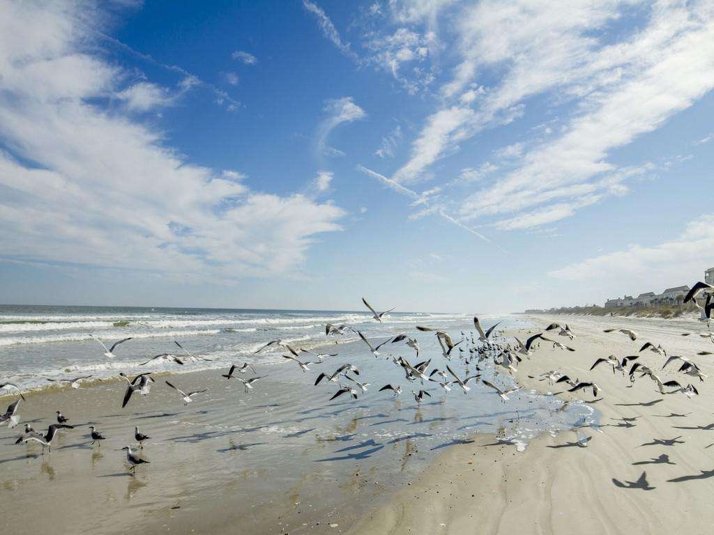 Anastasia Condos - Beach!