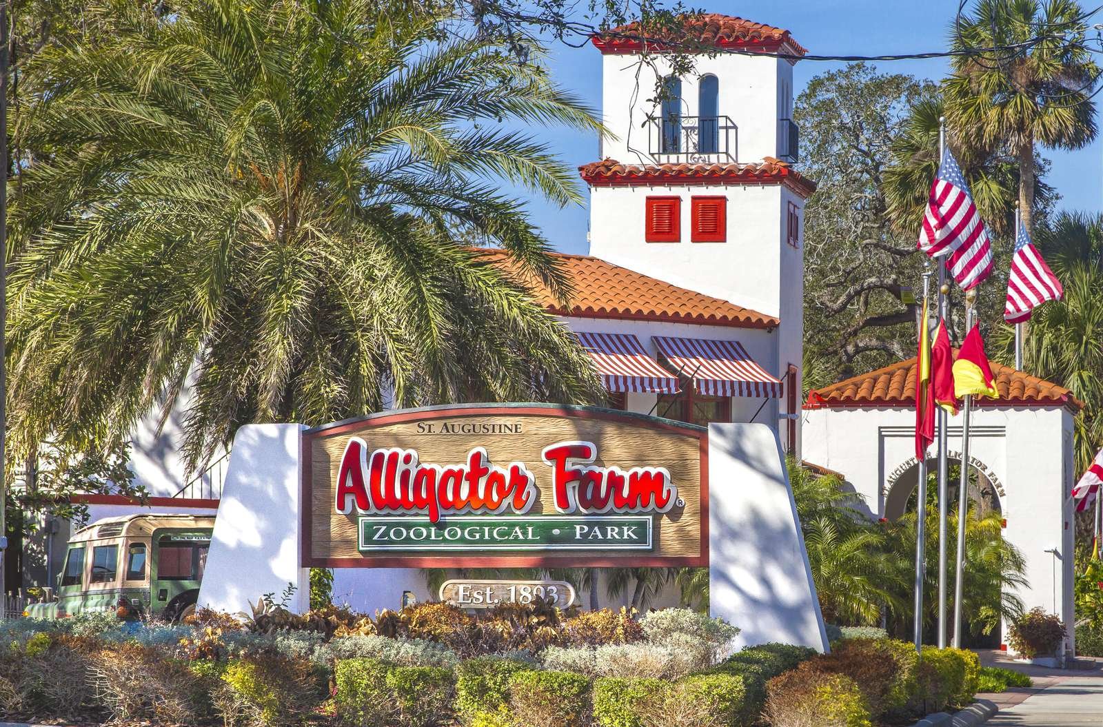 Ocean Village Club N17 St. Augustine Florida Alligator Farm