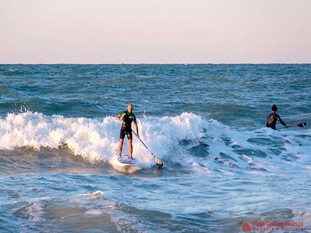 Dolphin Cove Surfer