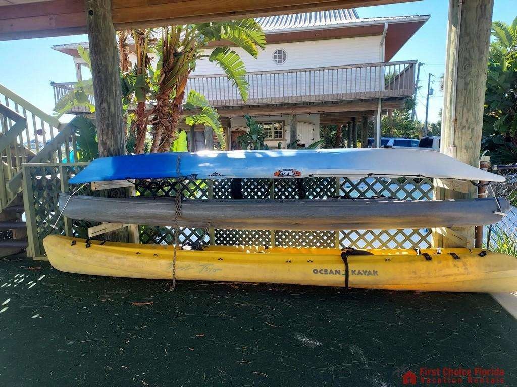Dolphin Cove Kayaks
