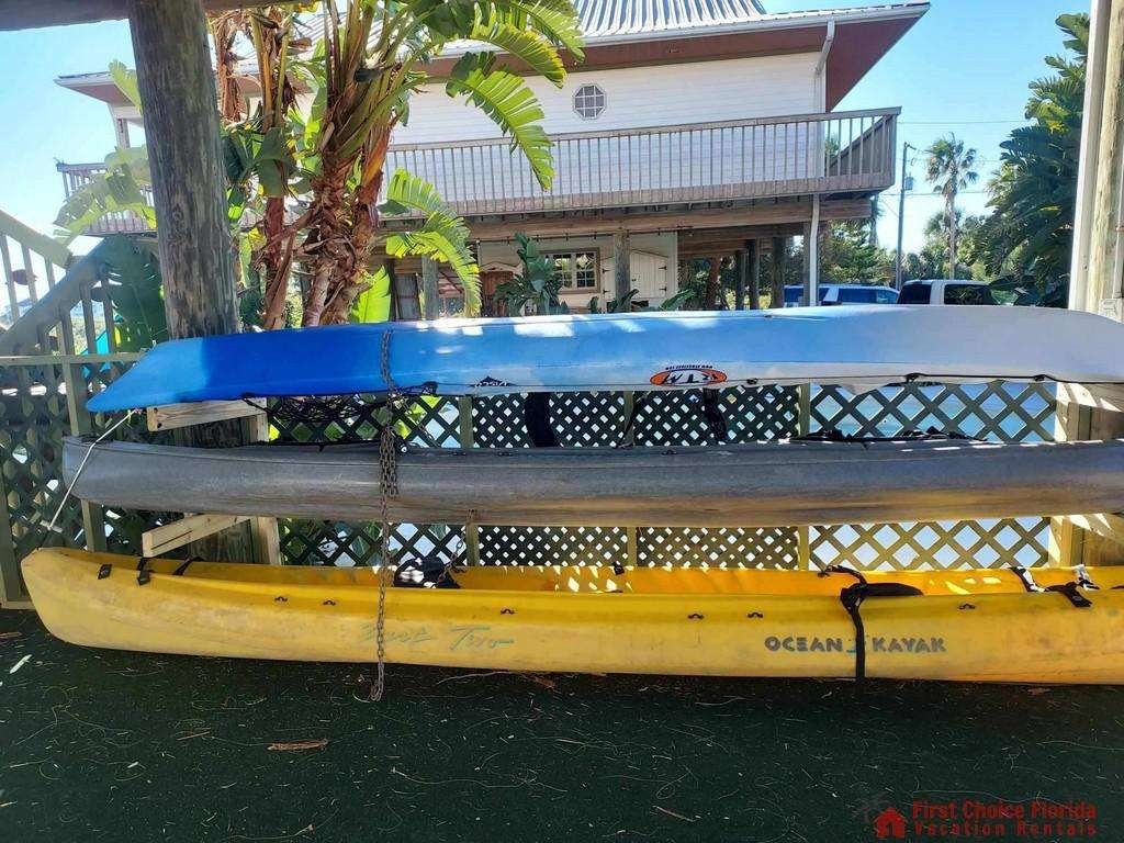 Dolphin Cove Kayak
