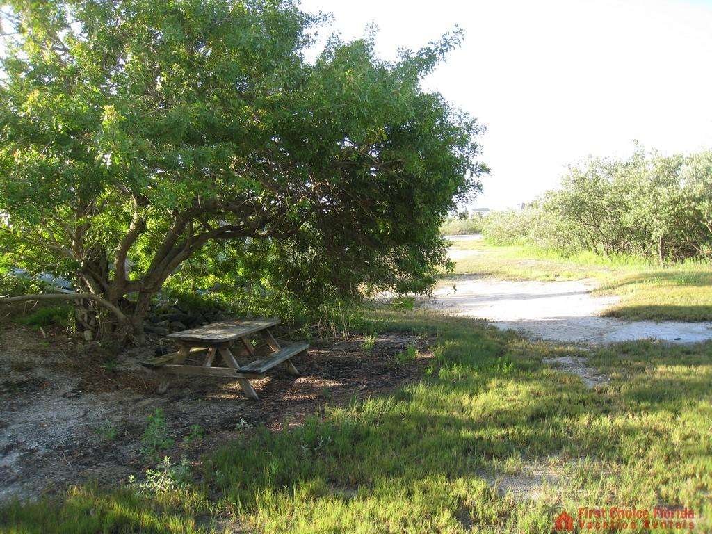 Dolphin Cove Picnic Area
