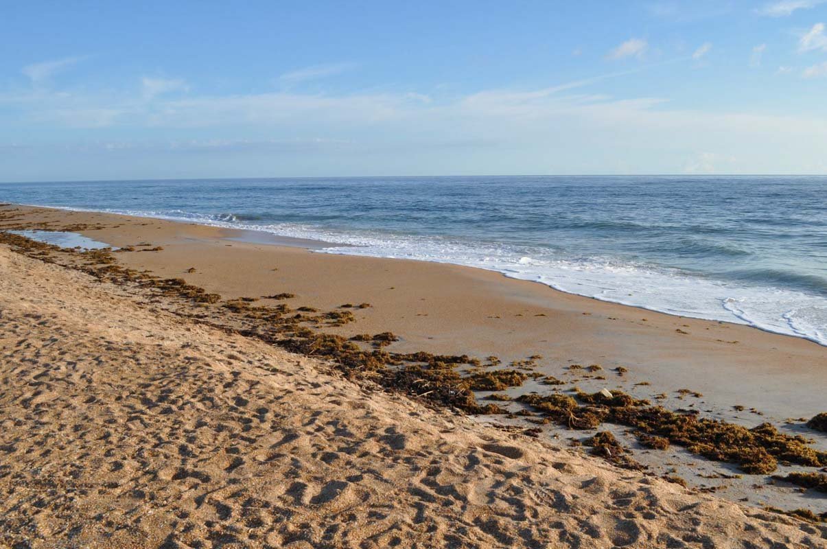 Beach Cleanup At Vilano First Choice Florida Vilano Beach St Augustine Florida Jpg